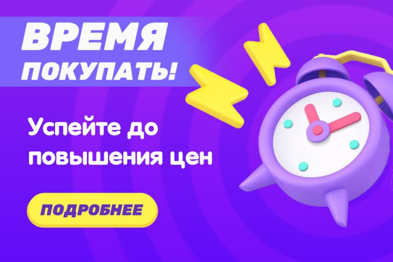 Успейте сделать выгодные закупки до конца декабря 2024 года до повышения цен!